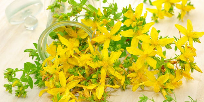St. John’s Wort