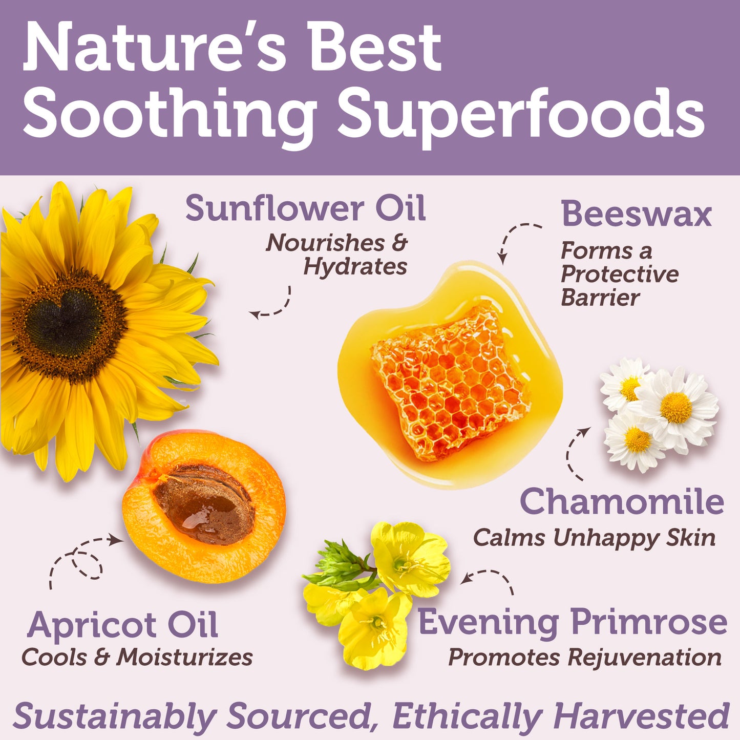 Organic Nipple Butter